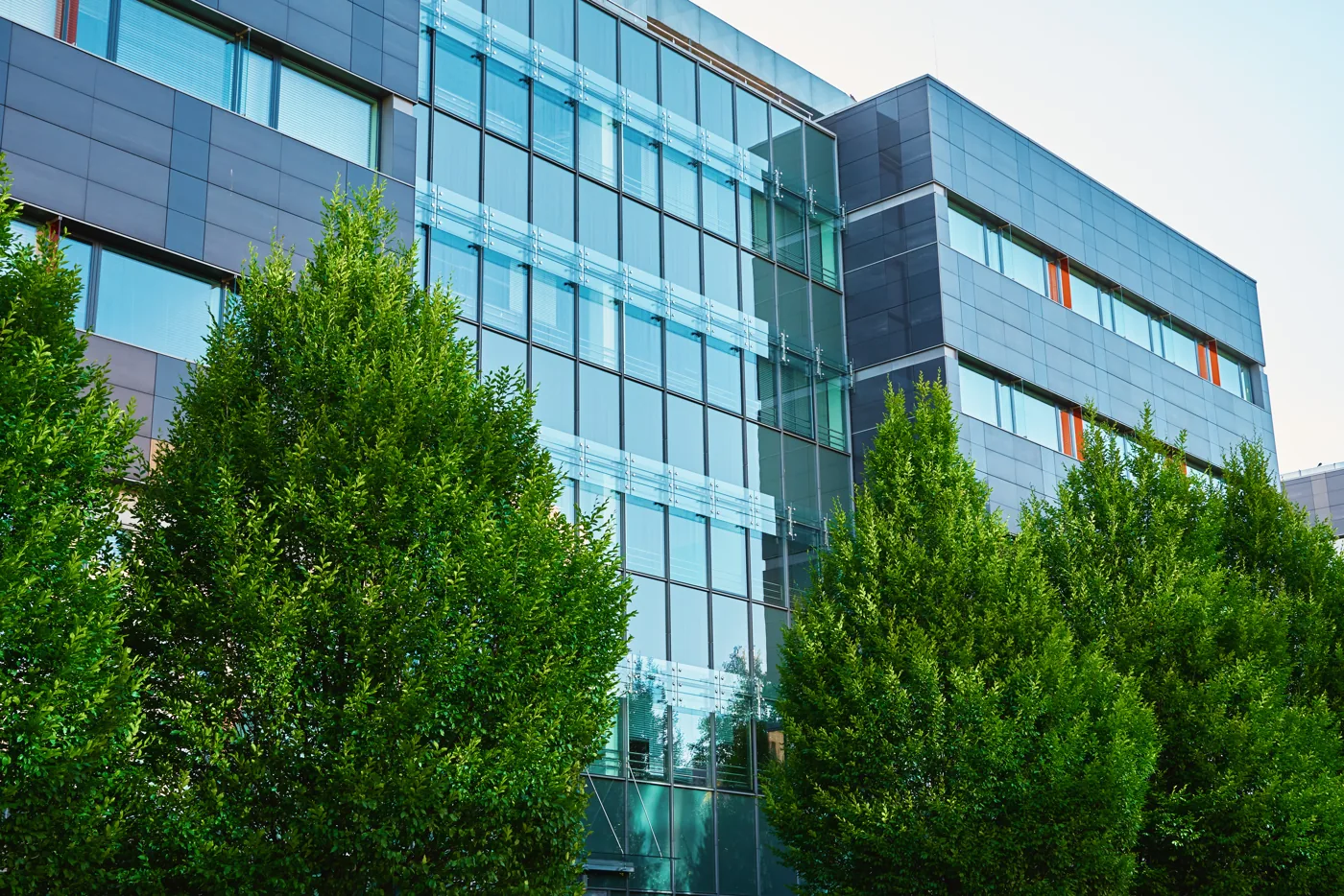 Façade de bureaux entourée d’arbres